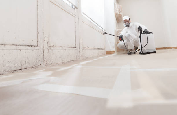 24/7 Emergency Attic Mold Remediation experts in Petersburg, MI